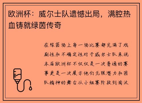 欧洲杯：威尔士队遗憾出局，满腔热血铸就绿茵传奇