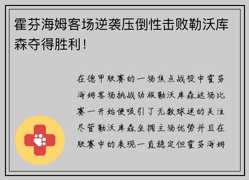 霍芬海姆客场逆袭压倒性击败勒沃库森夺得胜利！