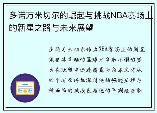 多诺万米切尔的崛起与挑战NBA赛场上的新星之路与未来展望